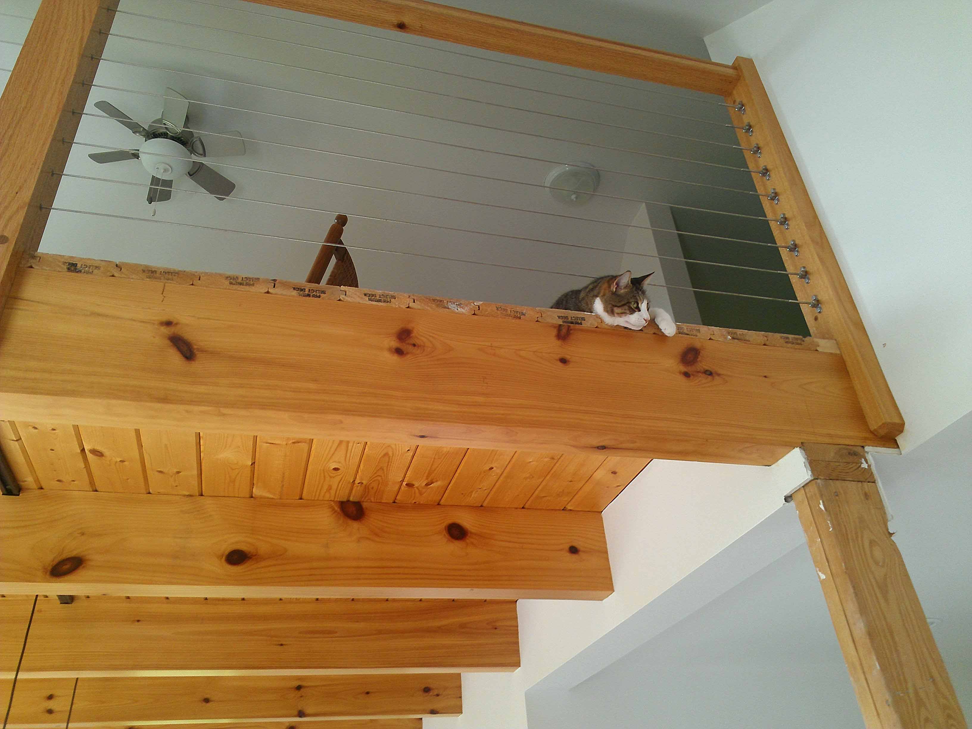 Copyright © 2014Michael R. EddyAll rights reserved