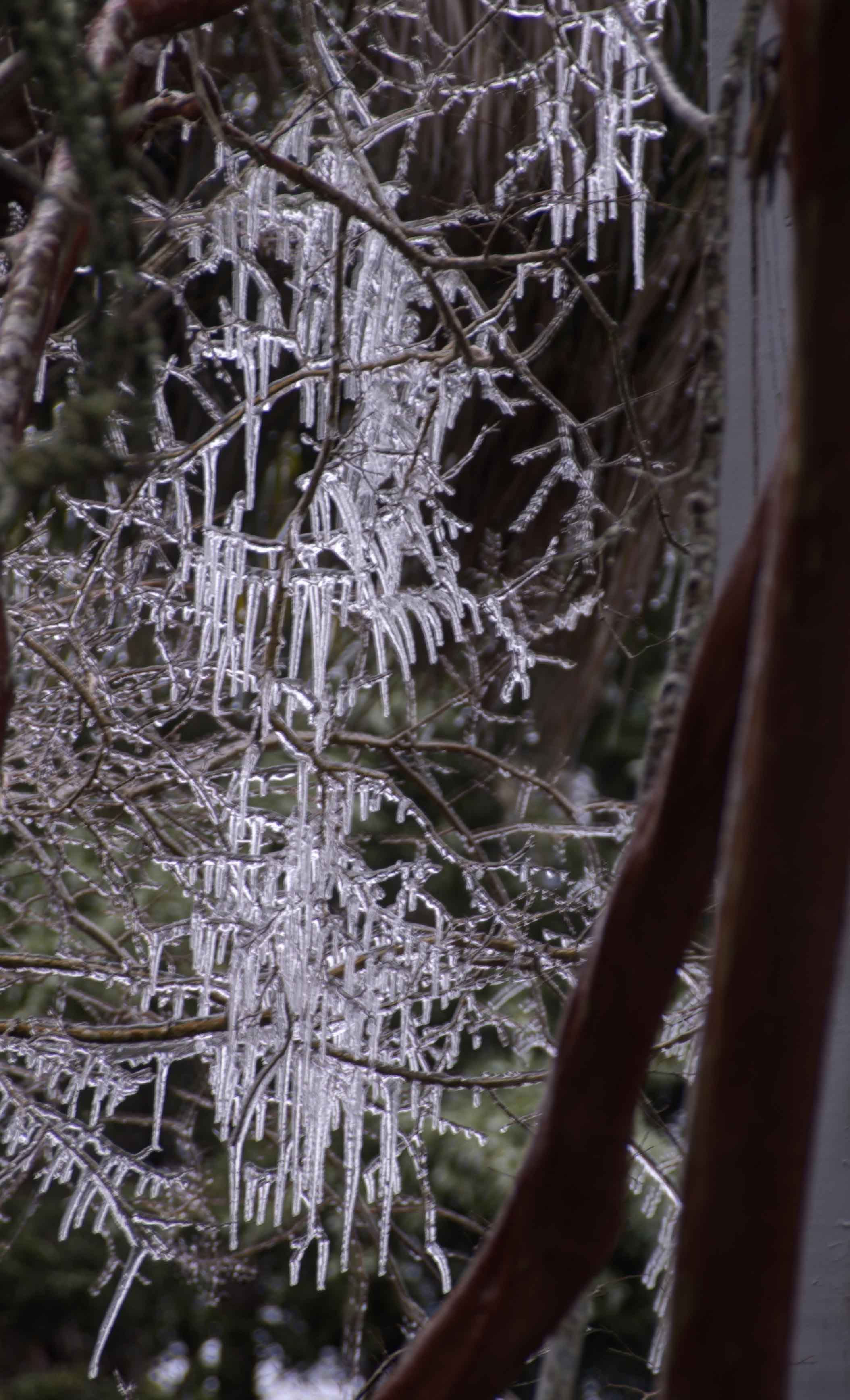 Copyright © 2014Michael R. EddyAll rights reserved