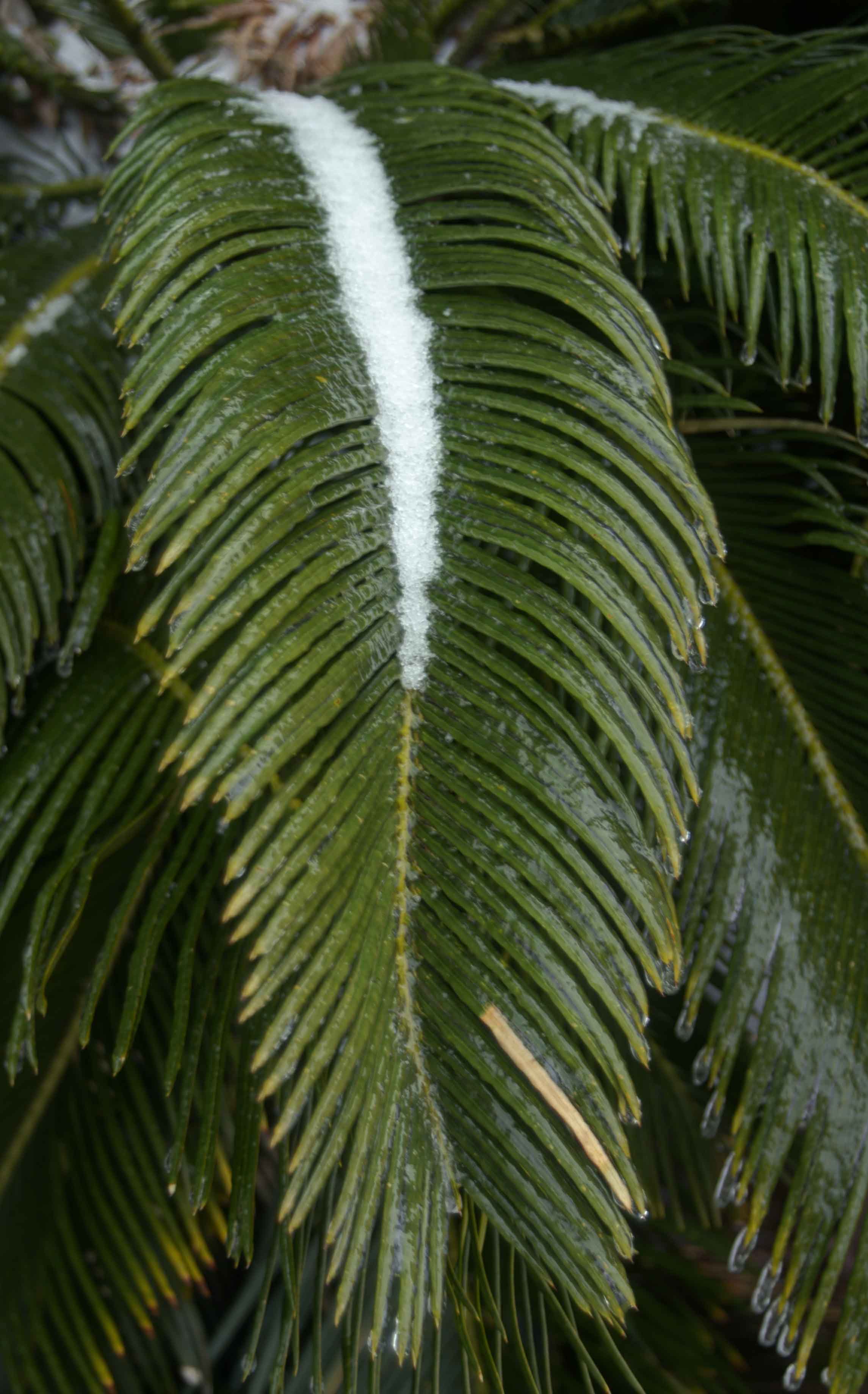 Copyright © 2014Michael R. EddyAll rights reserved