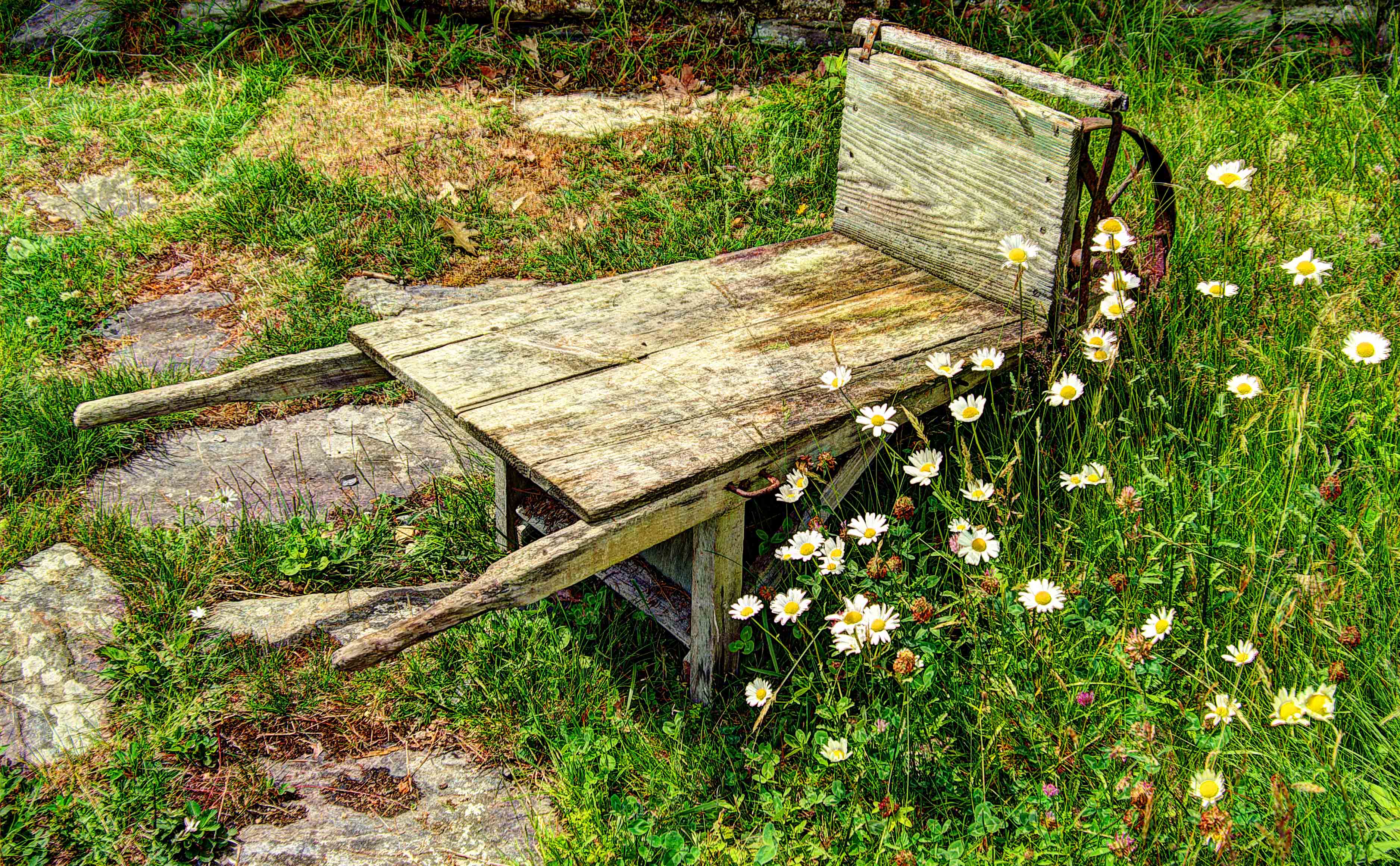 Copyright © 2014Michael R. EddyAll rights reserved